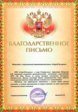 Официальный представитель