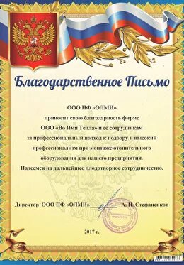 Официальный представитель
